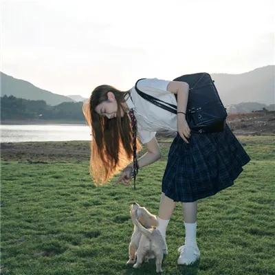 海豚湾恋人海报